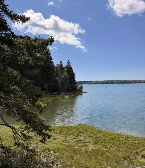 119 Flye Point Rd, Brooklin, ME 04616 photo 10