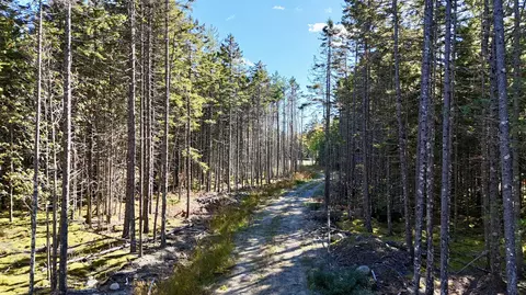 119 Flye Point Rd, Brooklin, ME 04616 photo 3