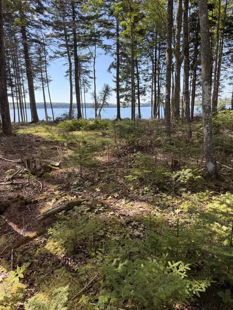 119 Flye Point Rd, Brooklin, ME 04616 photo 15