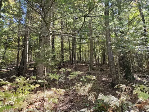 Exterior - 971 Anson Rd, Starks, ME 04911 photo 12 of 16
