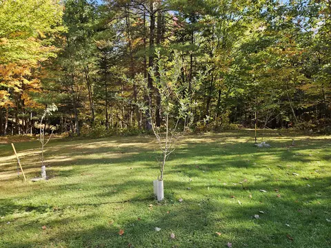 Exterior - 971 Anson Rd, Starks, ME 04911 photo 5 of 16