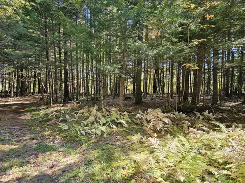 Exterior - 971 Anson Rd, Starks, ME 04911 photo 14 of 16