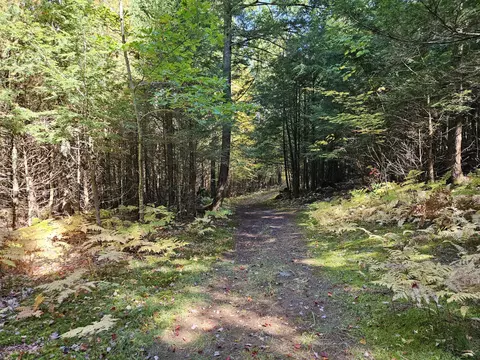 Other - 971 Anson Rd, Starks, ME 04911 photo 13 of 14