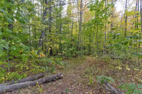 45-28 Fairview Ave, Gray, ME 04039 photo 2
