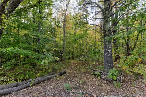 45-28 Fairview Ave, Gray, ME 04039