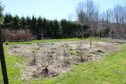Other - 759 Brooks Rd, Knox, ME 04986 photo 8 of 14