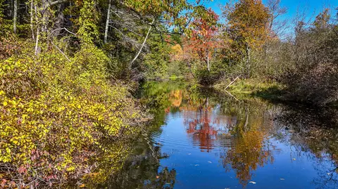 View/Area - 579 River Rd, Windham, ME 04062 photo 3 of 14