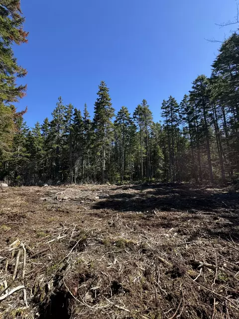 12 Jamestown Rd, Vinalhaven, ME 04863 photo 8