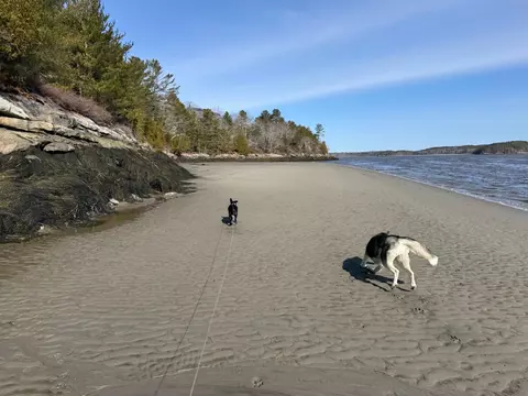 Other - 33 Herbert Dr, Phippsburg, ME 04562 photo 12 of 13