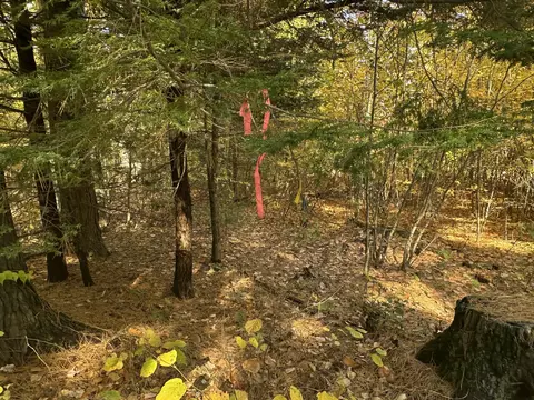4 Acres Deering Ridge Rd, Waterboro, ME 04087