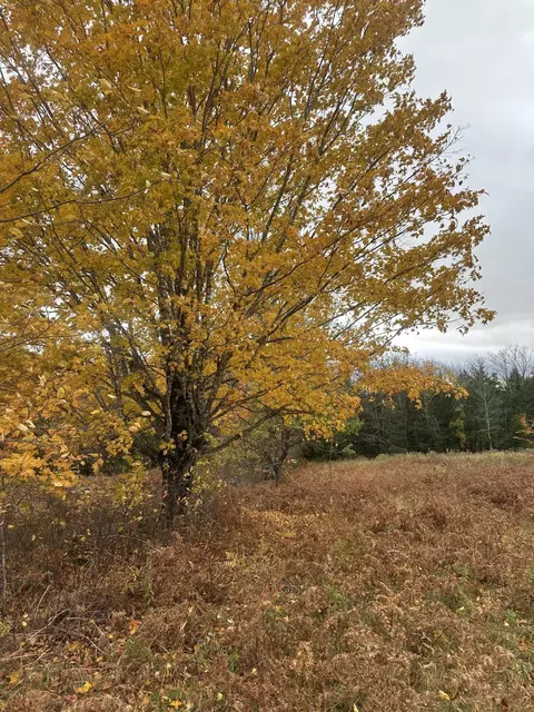 72 Mcquilkin Rd, Solon, ME 04979 photo 7