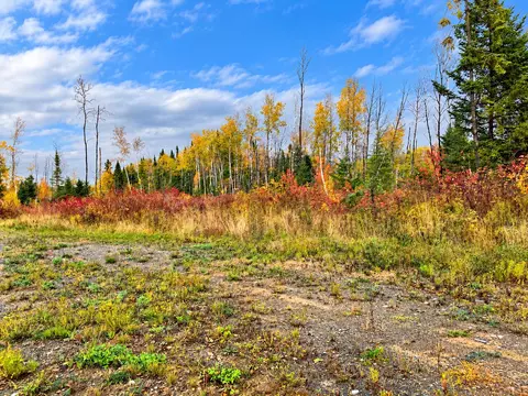 27 F Bog Rd, Limestone, ME 04750 photo 6