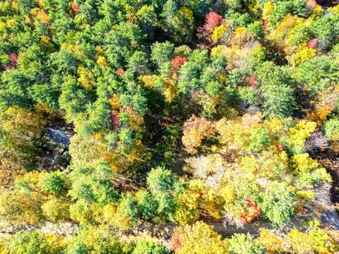 55 Loop Road, Otisfield, ME 04270 photo 27