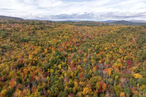 View/Area - 4 Taylor Loop, Limington, ME 04049 photo 14 of 21