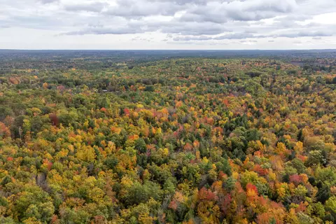 View/Area - 4 Taylor Loop, Limington, ME 04049 photo 8 of 21