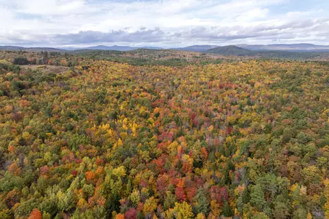 View/Area - 4 Taylor Loop, Limington, ME 04049 photo 6 of 21