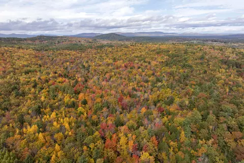 View/Area - 4 Taylor Loop, Limington, ME 04049 photo 7 of 21