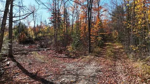 lot1 Old County Rd, Woodville, ME 04457