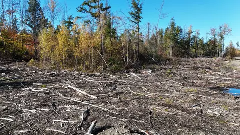 lot4 Long Pine Rd, Woodville, ME 04457