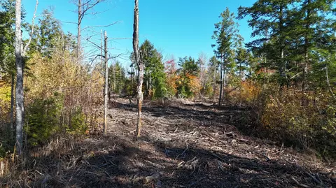 lot5 Long Pine Rd, Woodville, ME 04457