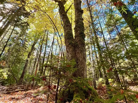 lot Apt E Windsong Way, South Bristol, ME 04573