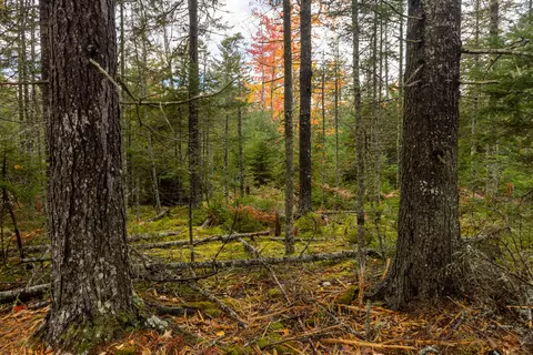 27-10 4e2a Pine Cone Ln, Surry, ME 04684