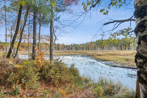 View/Area - 11 Hayes Dr, Gray, ME 04039 photo 1 of 1