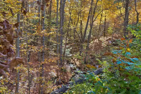 lot3 1 Goding Rd, Acton, ME 04001 photo 12