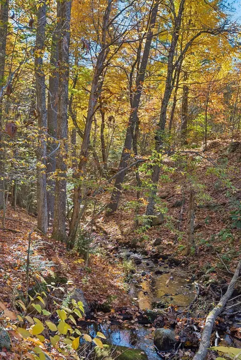 lot3 1 Goding Rd, Acton, ME 04001 photo 16