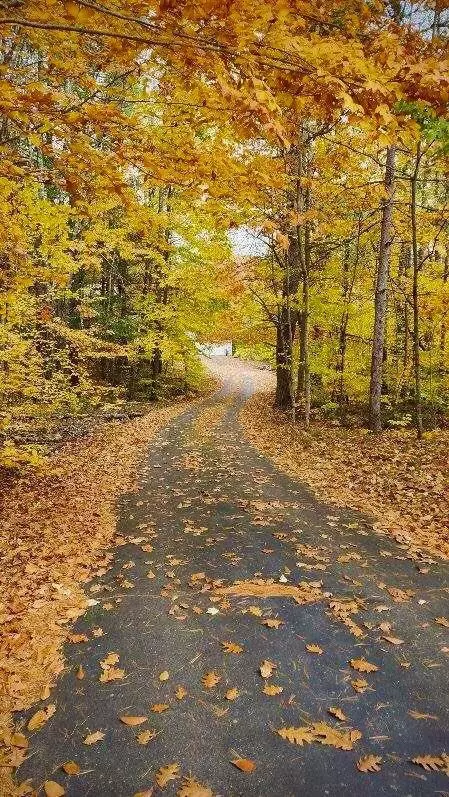 Other - 42 Buttonwood Dr, Berwick, ME 03901 photo 2 of 19