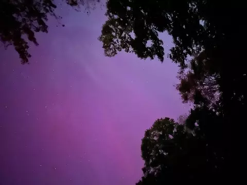 Other - 42 Buttonwood Dr, Berwick, ME 03901 photo 17 of 19