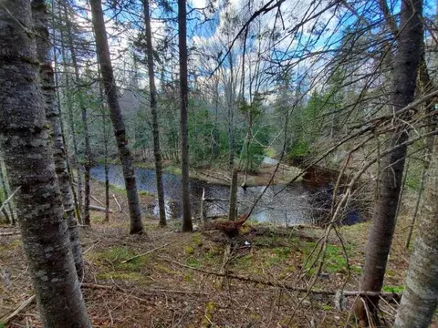301 Estabrook Rd, Amity, ME 04471 photo 9