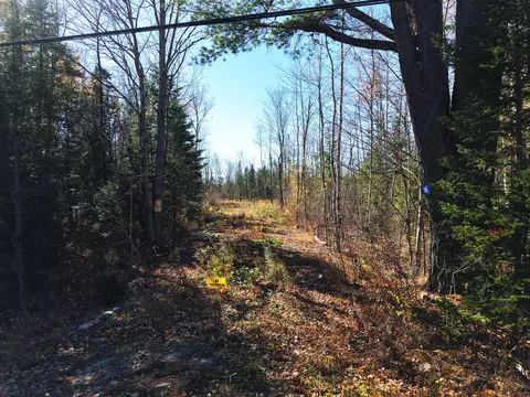 301 Estabrook Rd, Amity, ME 04471 photo 2