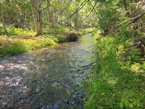 301 Estabrook Rd, Amity, ME 04471 photo 24
