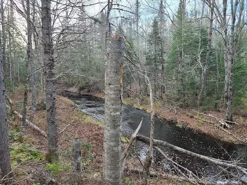 301 Estabrook Rd, Amity, ME 04471 photo 11