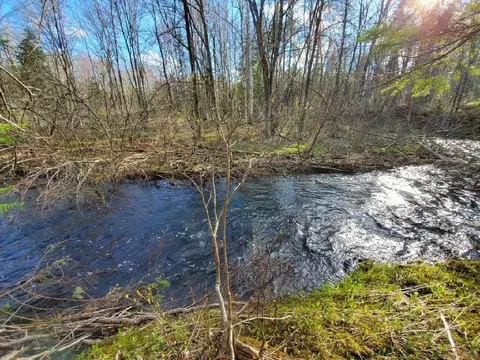 301 Estabrook Rd, Amity, ME 04471 photo 15