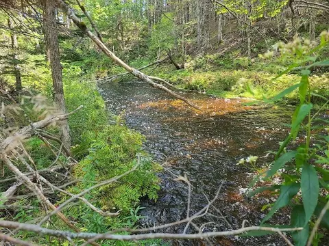301 Estabrook Rd, Amity, ME 04471 photo 17