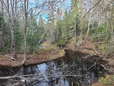 301 Estabrook Rd, Amity, ME 04471 photo 12