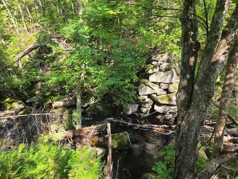 301 Estabrook Rd, Amity, ME 04471 photo 16