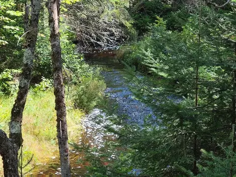 301 Estabrook Rd, Amity, ME 04471 photo 13