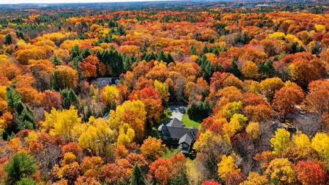 View/Area - 23 Fall Ridge Rd, Windham, ME 04062 photo 2 of 5