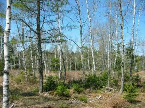 36 Caledonia Ln, Bristol, ME 04539 photo 1