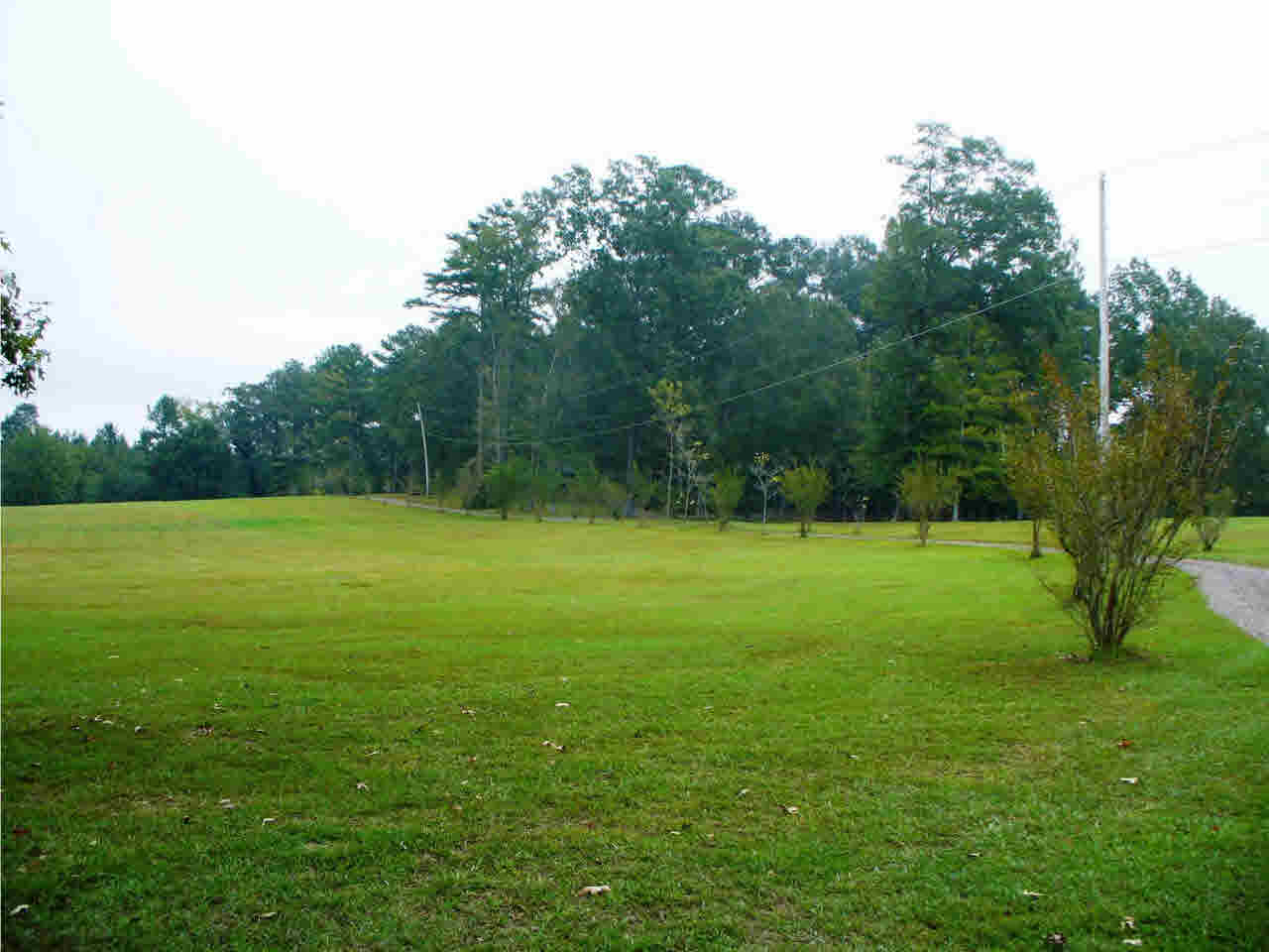 161 Pole Bridge Rd, Brandon, MS 39042 photo 1