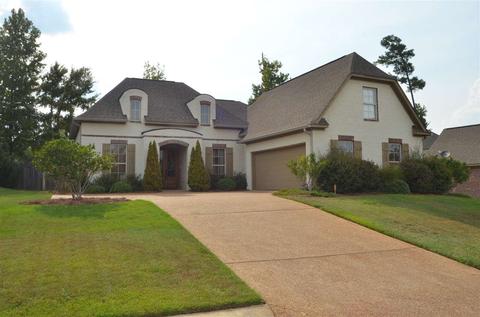 534 Turtle Ln, Brandon, MS 39047 photo 1