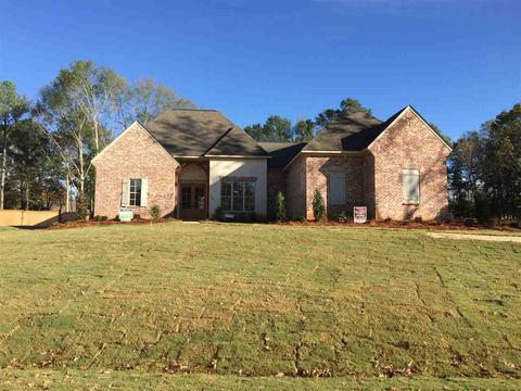 124 Saddle Brook Cv, Madison, MS 39110 photo 1