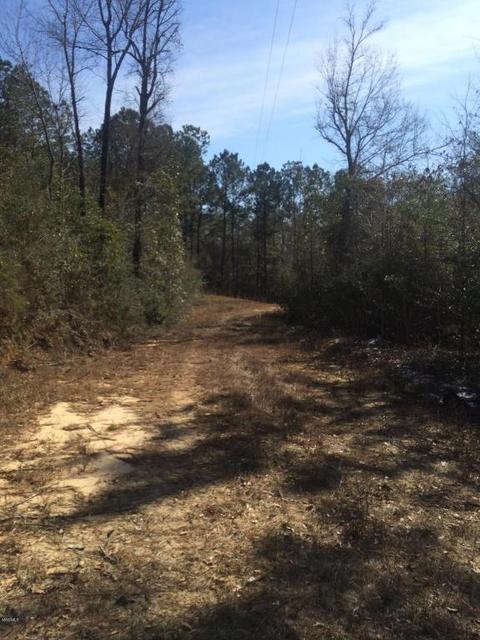 21 Hester, Perkinston, MS 39573 photo 1