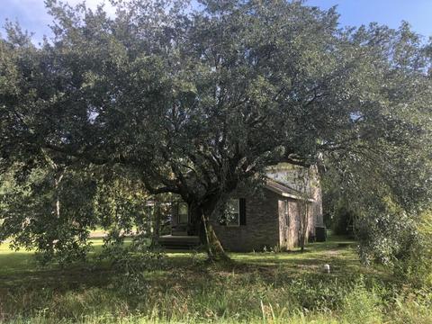 8104 Old Stage Rd, Moss Point, MS 39562 photo 1