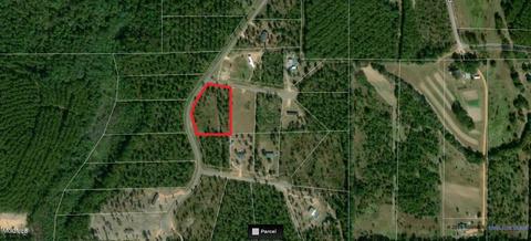 157 Sizemore Drive, Lucedale, MS 39452 photo 1
