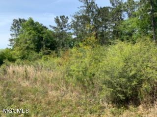 9013 Cedar Ct, Picayune, MS 39466 photo 1