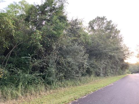 8521 Division Dr, Moss Point, MS 39562 photo 13